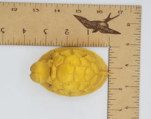 Load image into Gallery viewer, Turtle dick 3d print